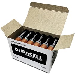 AA Batteries